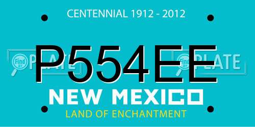 P554EE New Mexico License Plate