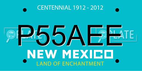 P55AEE New Mexico License Plate