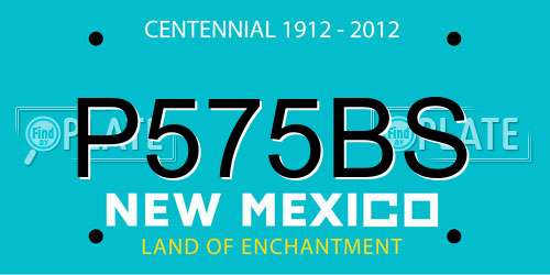 P575BS New Mexico License Plate