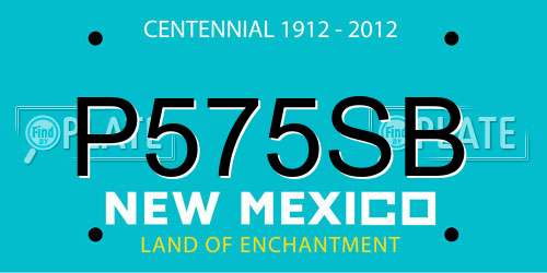 P575SB New Mexico License Plate