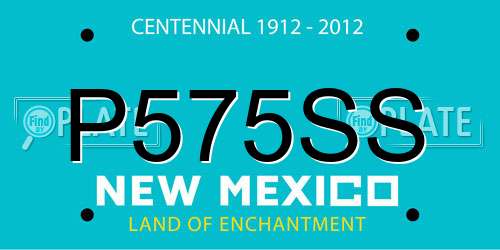 P575SS New Mexico License Plate