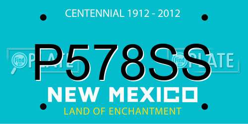 P578SS New Mexico License Plate