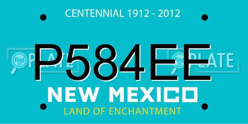 P584EE New Mexico License Plate