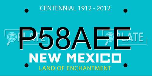 P58AEE New Mexico License Plate