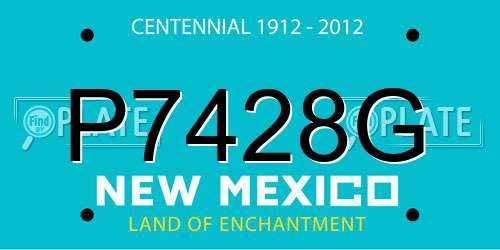 P7428G New Mexico License Plate