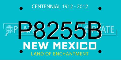 P8255B New Mexico License Plate