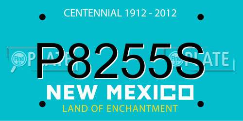 P8255S New Mexico License Plate