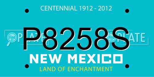 P8258S New Mexico License Plate
