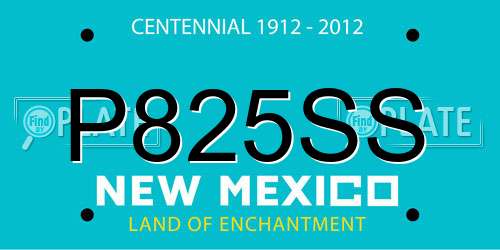 P825SS New Mexico License Plate