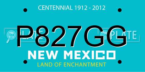 P827GG New Mexico License Plate