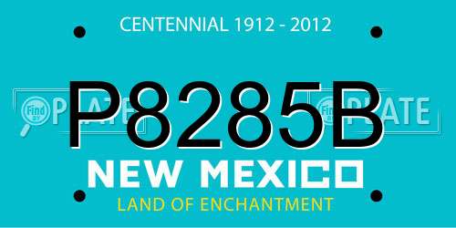 P8285B New Mexico License Plate