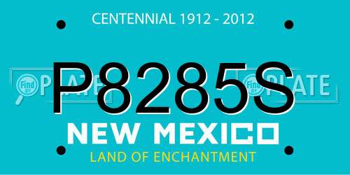 P8285S New Mexico License Plate