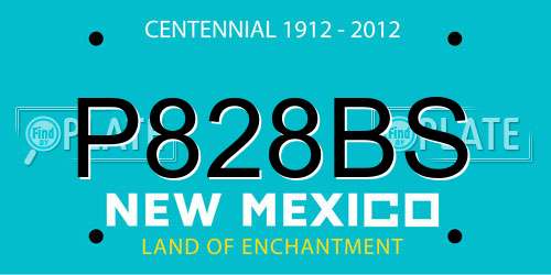 P828BS New Mexico License Plate