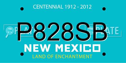 P828SB New Mexico License Plate
