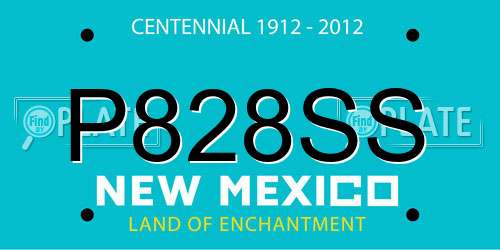 P828SS New Mexico License Plate