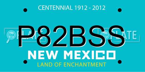 P82BSS New Mexico License Plate