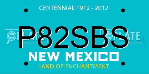 P82SBS New Mexico License Plate