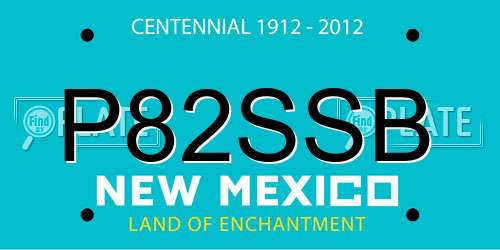 P82SSB New Mexico License Plate