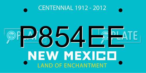 P854EE New Mexico License Plate