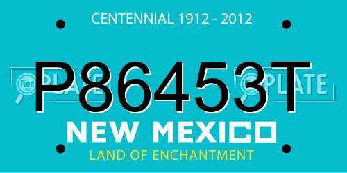 P86453T New Mexico License Plate