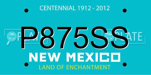 P875SS New Mexico License Plate