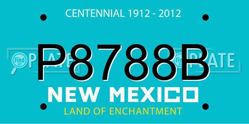 P8788B New Mexico License Plate