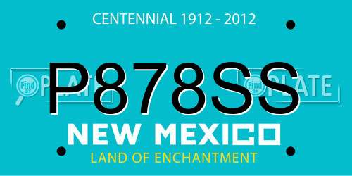P878SS New Mexico License Plate