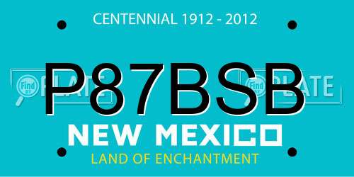 P87BSB New Mexico License Plate