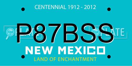 P87BSS New Mexico License Plate