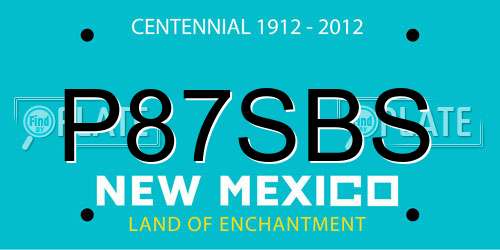 P87SBS New Mexico License Plate
