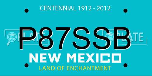 P87SSB New Mexico License Plate