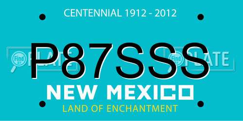 P87SSS New Mexico License Plate