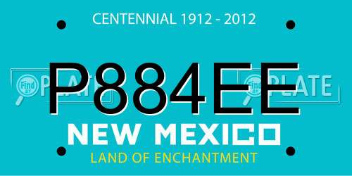 P884EE New Mexico License Plate