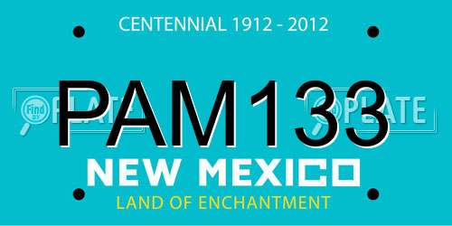 PAM133 New Mexico License Plate