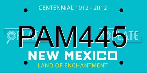 PAM445 New Mexico License Plate