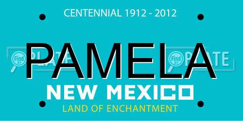 PAMELA New Mexico License Plate