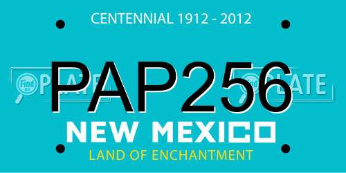 PAP256 New Mexico License Plate