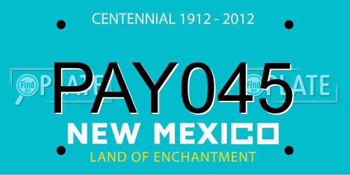 PAY045 New Mexico License Plate