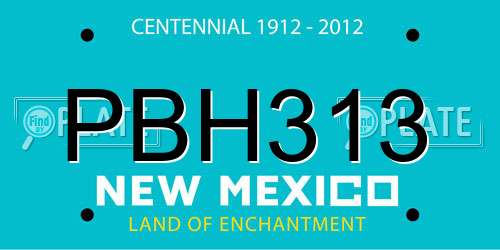 PBH313 New Mexico License Plate