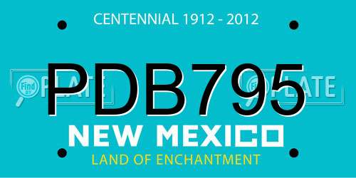 PDB795 New Mexico License Plate