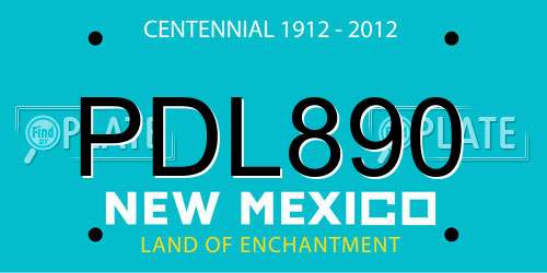 PDL890 New Mexico License Plate