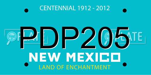 PDP205 New Mexico License Plate