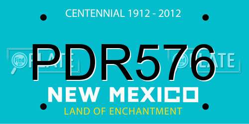 PDR576 New Mexico License Plate