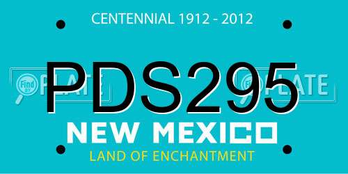 PDS295 New Mexico License Plate