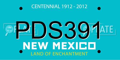 PDS391 New Mexico License Plate