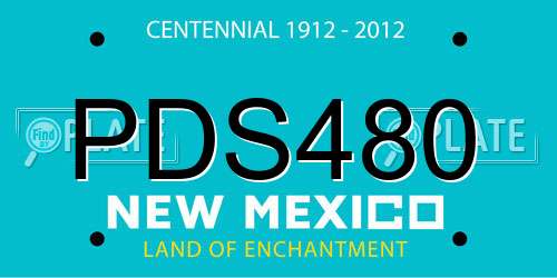 PDS480 New Mexico License Plate