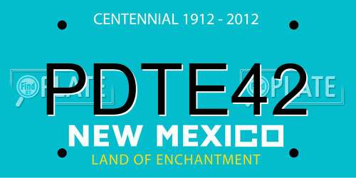 PDTE42 New Mexico License Plate
