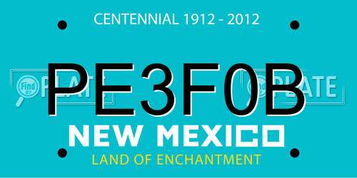 PE3F0B New Mexico License Plate