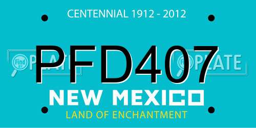 PFD407 New Mexico License Plate