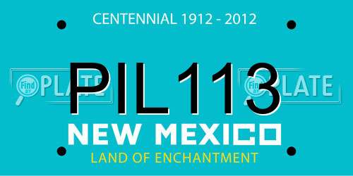 PIL113 New Mexico License Plate